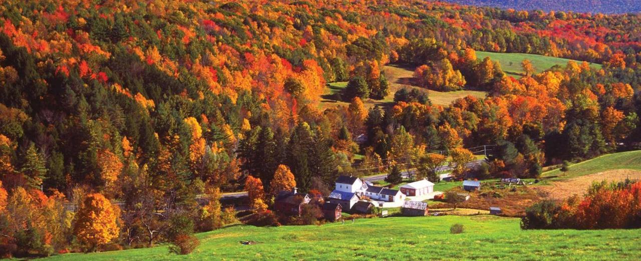 Charming 120-Year-Old Farmhouse By The Creek. Starlight Exteriör bild
